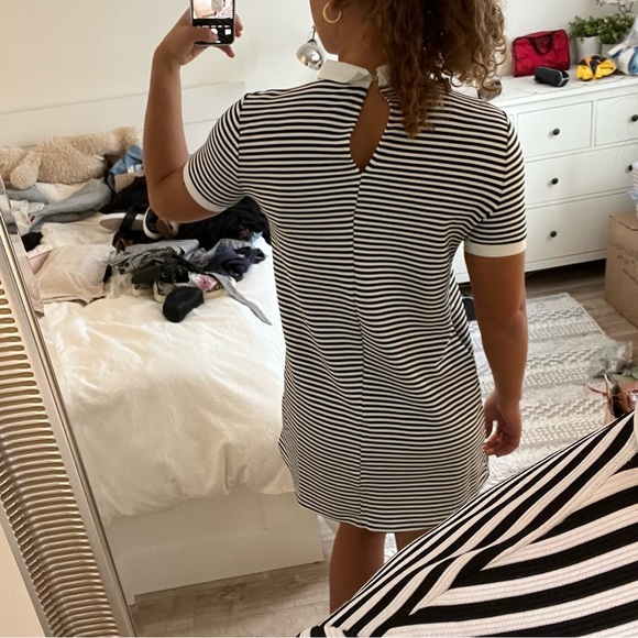 Lined dress with a collar - Picture 3 of 6